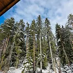Βίλα борово ухание Pine Scent