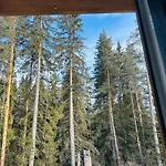 борово ухание Pine Scent