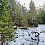 борово ухание Pine Scent Govedartsi