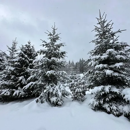 борово ухание Pine Scent Villa Govedarci