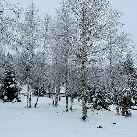 Villa борово ухание Pine Scent