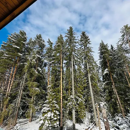 Villa борово ухание Pine Scent