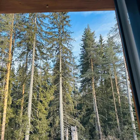 борово ухание Pine Scent