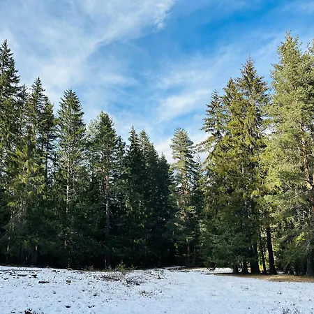 борово ухание Pine Scent Villa