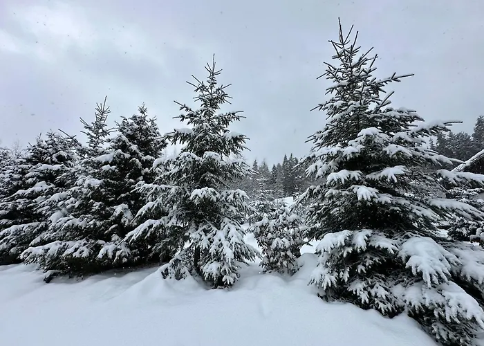 борово ухание Pine Scent Villa Govedartsi