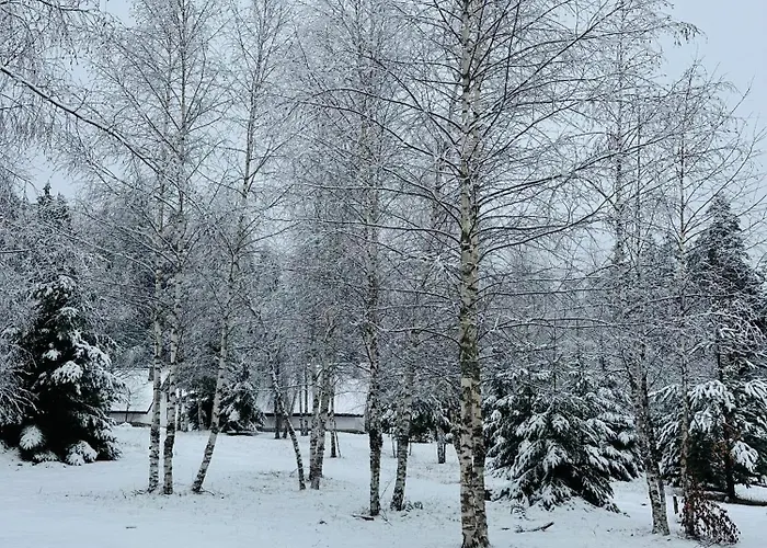 Villa борово ухание Pine Scent