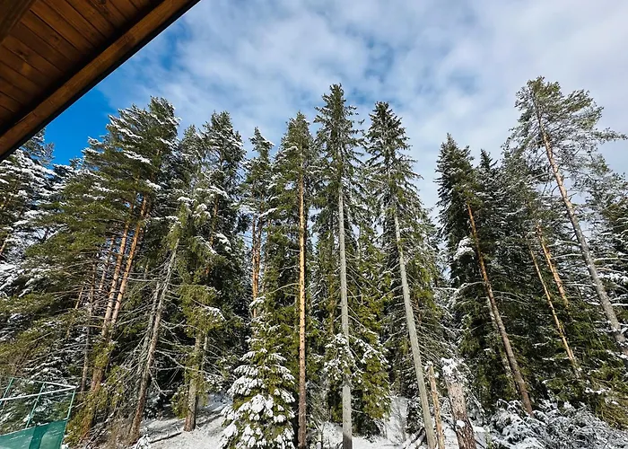 Villa борово ухание Pine Scent