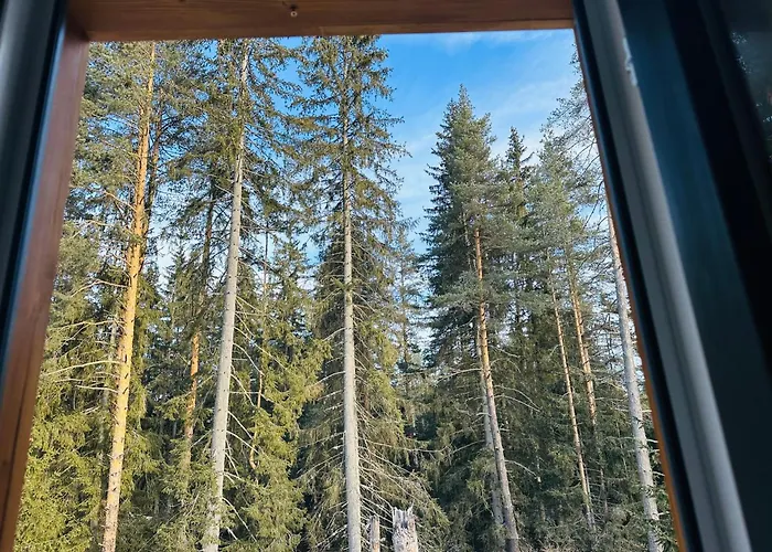 борово ухание Pine Scent