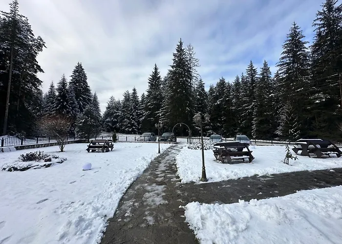 Villa борово ухание Pine Scent Govedartsi