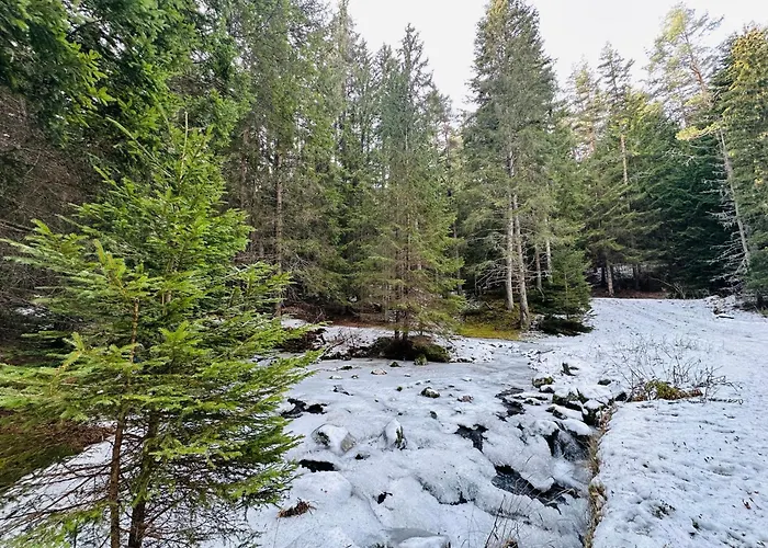 борово ухание Pine Scent Govedartsi