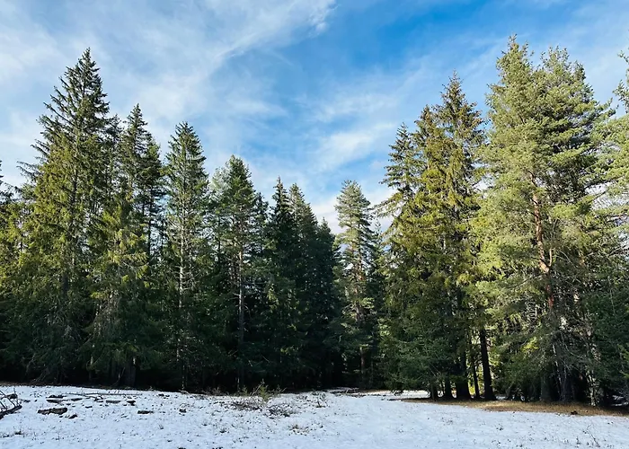 борово ухание Pine Scent Villa